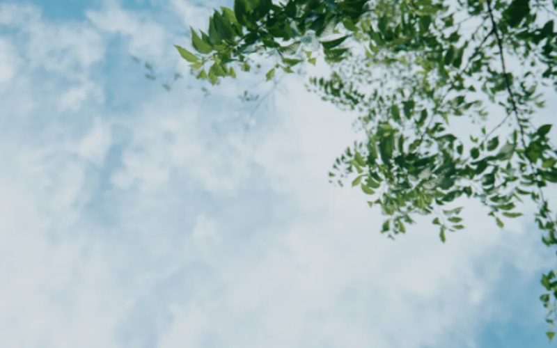 【実体験5ヶ月レポ】airCloset 口コミ｜リアルな感想＆本当のメリット・デメリット