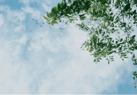 【2026年春】30代・40代が取り入れたい春ファッショントレンド5選