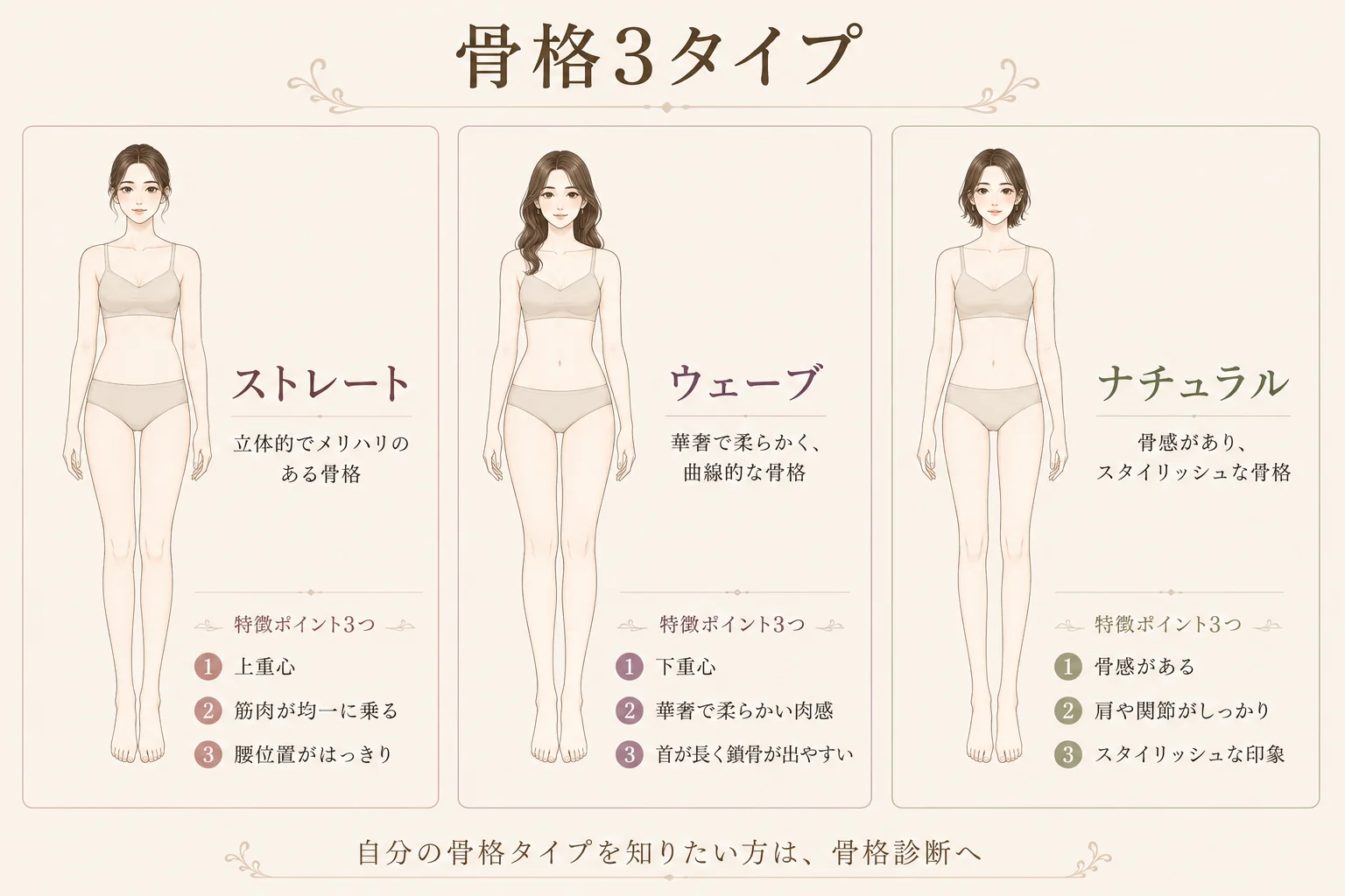 骨格3タイプ 基本リファレンス。ストレート・ウェーブ・ナチュラルの体型特徴と特徴ポイントを一覧化