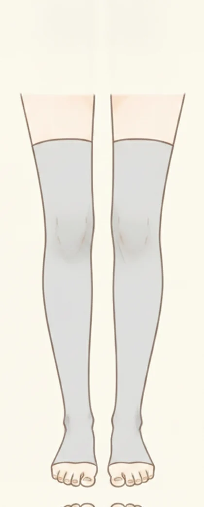 膝のすぐ上で終わるオーバーニーソックスのイラスト