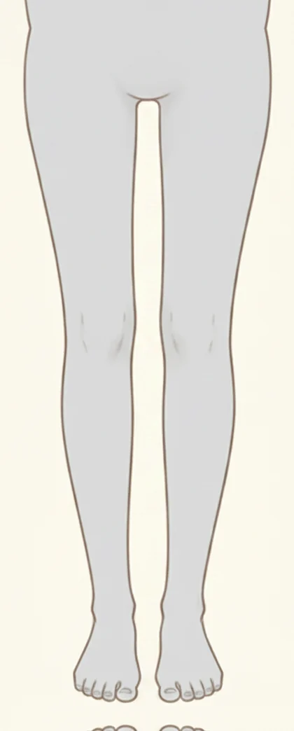 脚全体と足先まで覆うタイツのイラスト